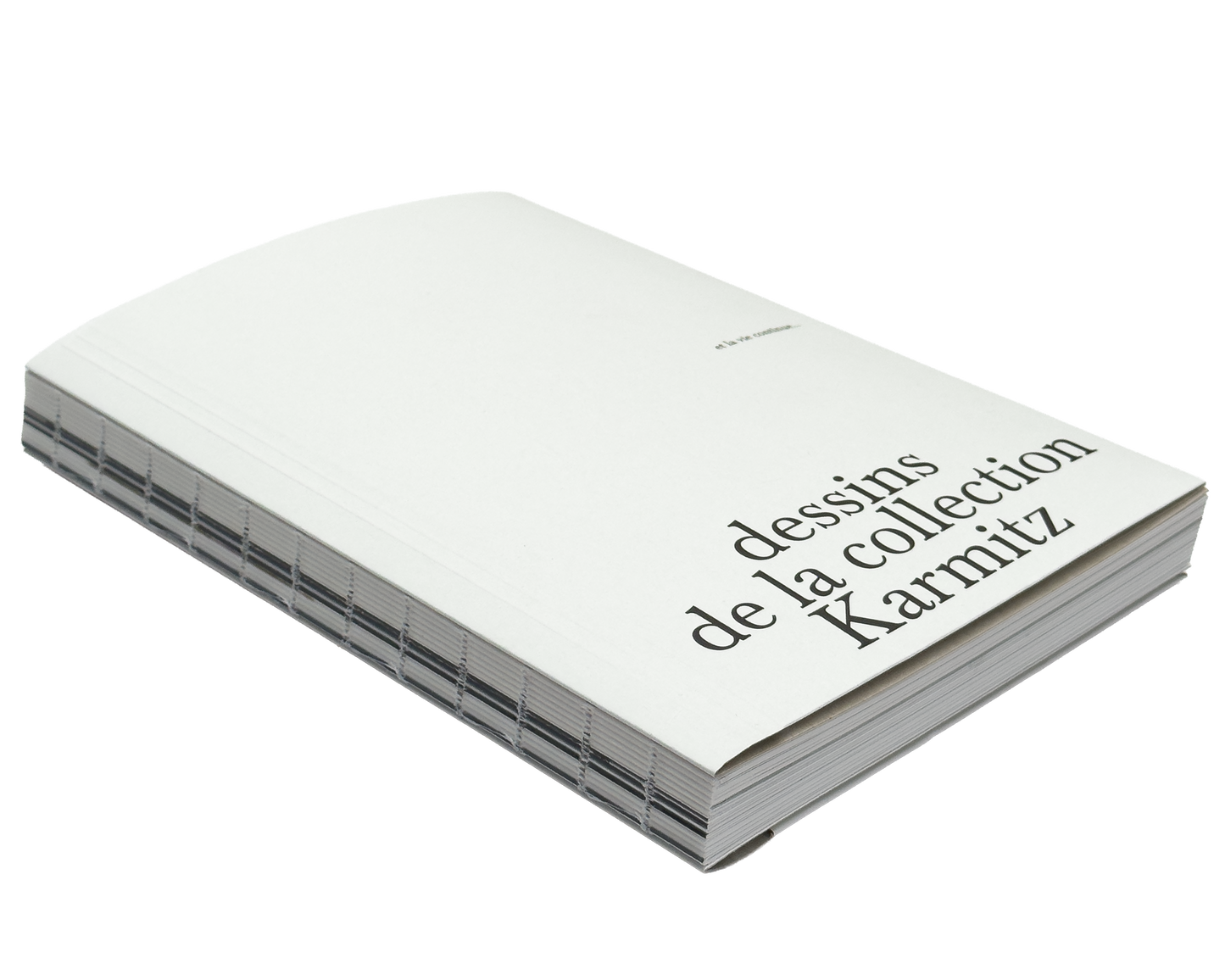 et la vie continue… dessins de la collection Karmitz